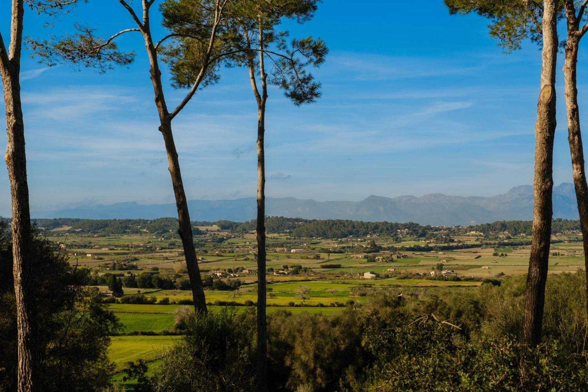 Finca Sa Bastida Luxury Retreat & Spa Adults Only Sant Joan Ngoại thất bức ảnh